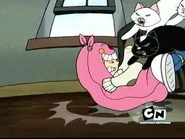 Codename-Kids-Next-Door-Episode-14-Operation-C-A-T-S-Operation-P-O-P.jpg (16 KB)