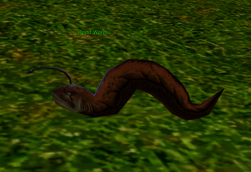 Blood top worms online