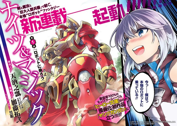 Manga Volume 1, Knight's & Magic Wiki