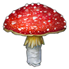 Shroom