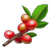 Red Berries