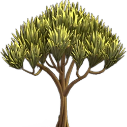 Sandalwood Tree Knights And Brides Wiki Fandom