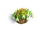 Find-Flower basket 1.png