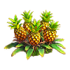 Pineapples 13 pcs