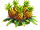 Pineapple plant.png