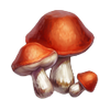 Mushrooms