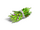 Find-Grass 2.png