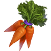 Sweet Carrot