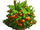 Tomatoes plant ph4.png