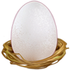 White Egg