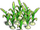 Garlic plant ph4.png