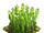 Wheat plant ph3.png