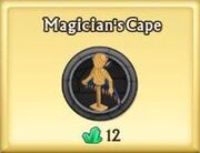 Magician's Cape