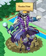 Voodoo Priest