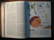 National Geographic Vol. 151, No. 1 (January 1977)