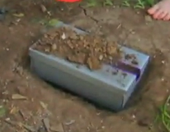 Nibbles box.png
