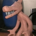 Jhhgg.png
