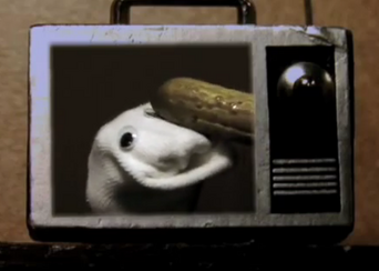 Will Wilson.png