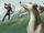 Hunting Dogs