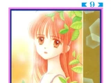 Volume 9