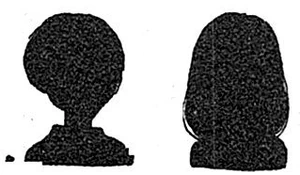 Silhouettes of presumably Naozumi and Fuka