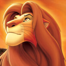 Simba erwachsen.jpg