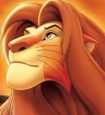 Simba; erwachsen.jpg