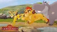 The Lion Guard Kion seine Truppe