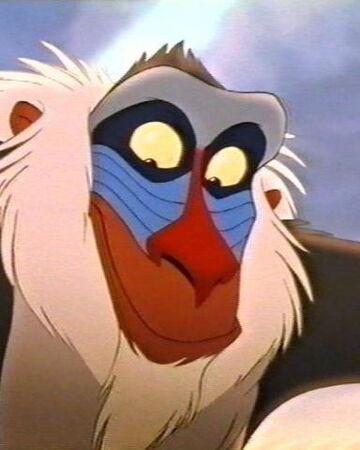 Rafiki Konig Der Lowen Wiki Fandom Loewe koenig simba illustration, simba nala rafiki mufasa der koenig der loewen, hyaene, tierfigur, tiere, kunst png. rafiki konig der lowen wiki fandom