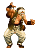 Chin96.gif