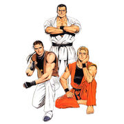 Art of fighting team95