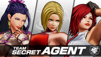 Secret Agent Team (XV)