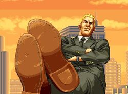 Geese-shoes.jpg