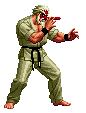 Mrkaratesvc.gif