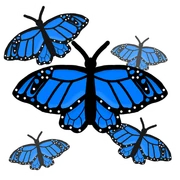 T BlueButterflies Default Icon