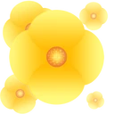 T SunFlowers Default Icon