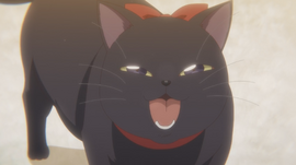 Chocolat | Komi-san wa Komyushou Desu Wiki | Fandom
