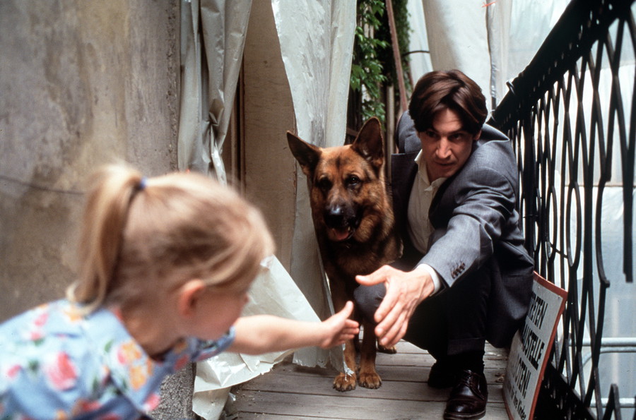 Комиссар рекс 8 1. Комиссар рекс 8 1. Комиссар рекс 8 1. Комиссар рекс 8 1. Николас офчарек комиссар рекс.