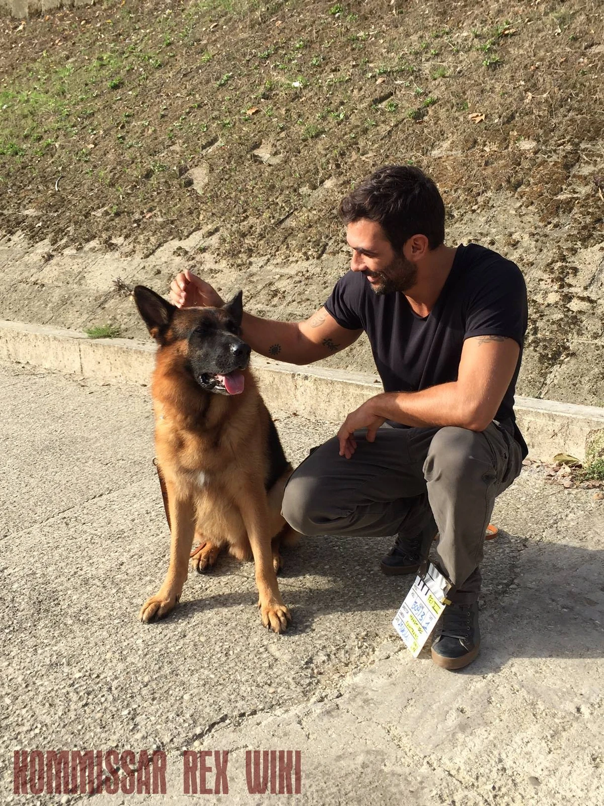 Комиссар рекс. Николас офчарек комиссар рекс. Марко терцани комиссар рекс. Комиссар рекс 18. Комиссар рекс лоренцо фаббри.