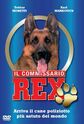 It. Rex DVD