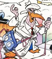 Fi tk1999 01b 001 angus