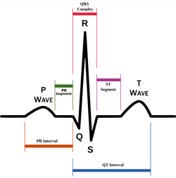 QRS