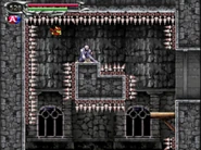 Castlevania: Dawn of Sorrow (2005)