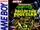 Teenage Mutant Ninja Turtles: Fall of the Foot Clan