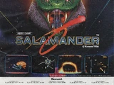 Salamander