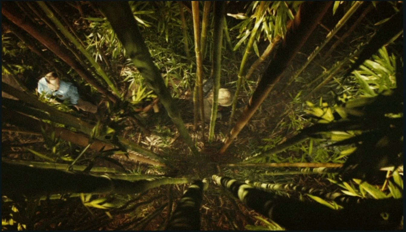 Паук из кинг конг остров черепа. Паук из кинг конг остров черепа. Конг остров черепа монстры мать долгоножка. Кинг конг паучье ущелье. Мать долгоножка конг остров черепа.