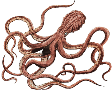 Mire Squid Kong Skull Island Wiki Fandom