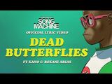 Dead Butterflies
