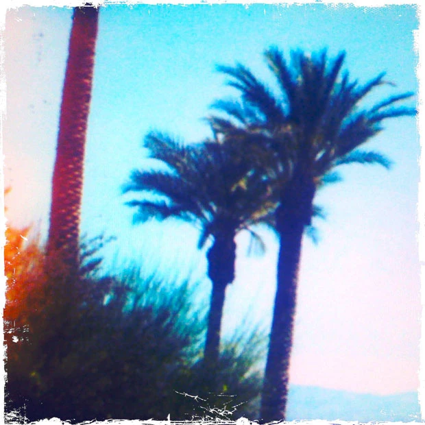 Little Pink Plastic Bags Gorillaz Wiki Fandom