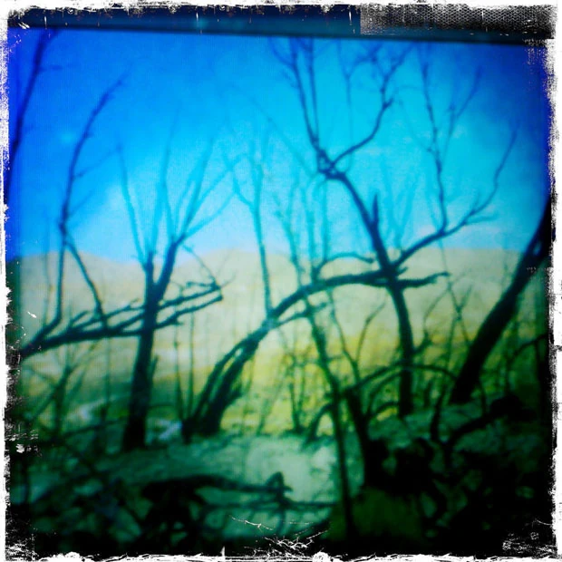 Cover art for The Joplin Spider